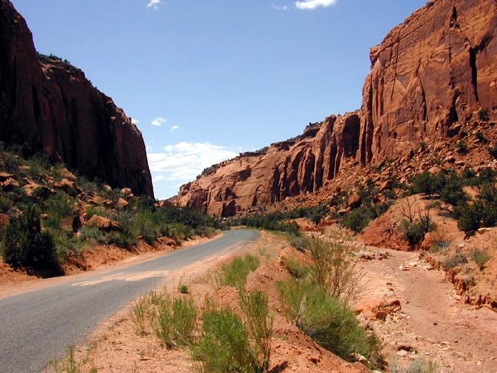 Road ThroughLongCanyon